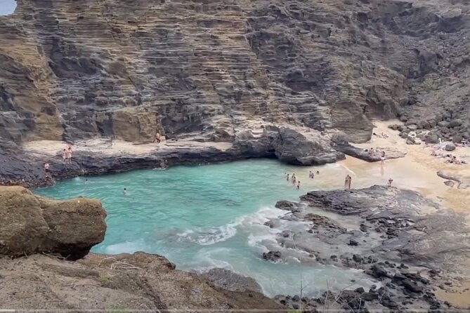 Oahu Guided Circle Island Tour, Swim w/ Turtles, Dole, Blowhole - Macadamia nut farm and Kona coffee: the local taste moment