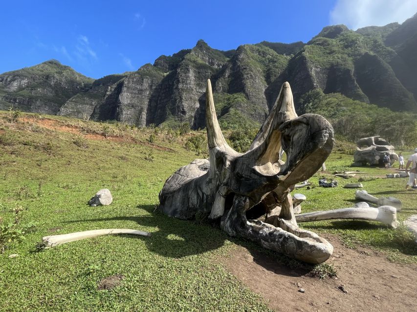 Oahu: Kualoa Movie Sites, Jungle, and Buffet Tour Package - Quick take: what makes this package worth your time
