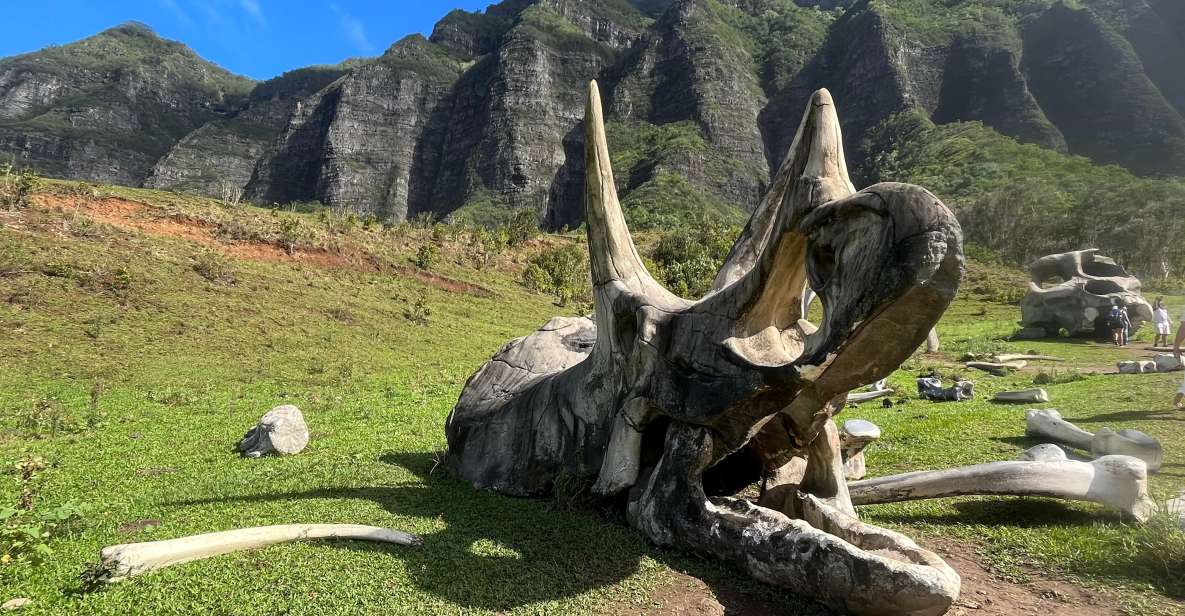 Oahu: Kualoa Movie Sites, Jungle, and Buffet Tour Package - Hakipu’u Jungle Expedition: trails, streams, steep hills, and bumpy roads