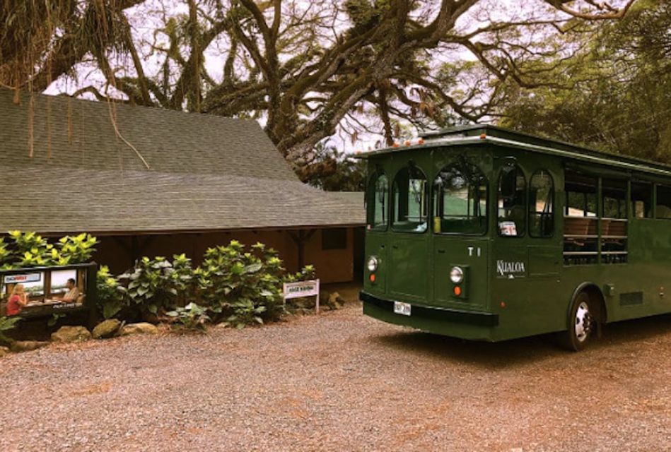 Oahu: Kualoa Movie Sites, Jungle, and Buffet Tour Package - Kualoa Grown Tour: fruit and flowers plus 800-year-old fishpond history