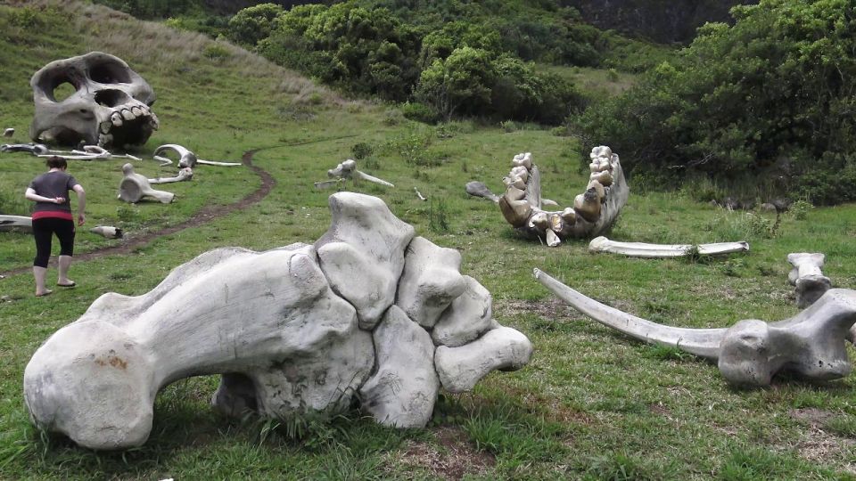 Oahu: Kualoa Movie Sites, Jungle, and Buffet Tour Package - Should you book? My decision guide