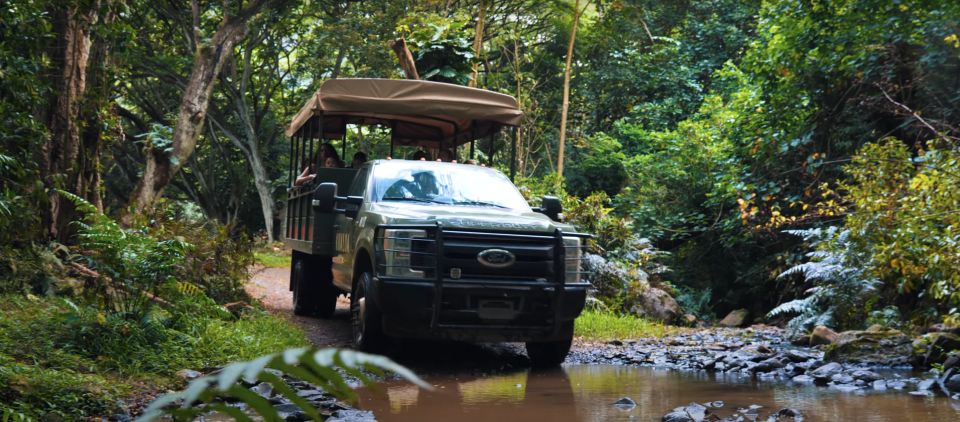 Oahu: Kualoa Open Air Jungle Expedition Tour - Getting to Kualoa Ranch: timing matters more than you think