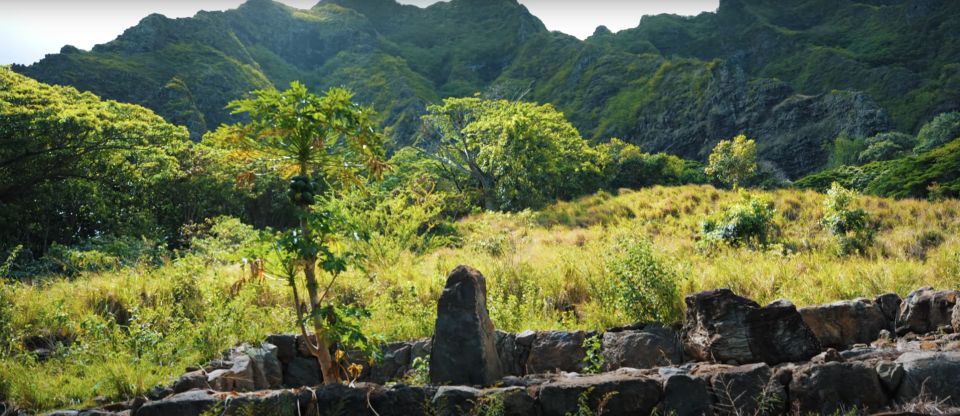 Oahu: Kualoa Open Air Jungle Expedition Tour - Price and value at $63 for 90 minutes