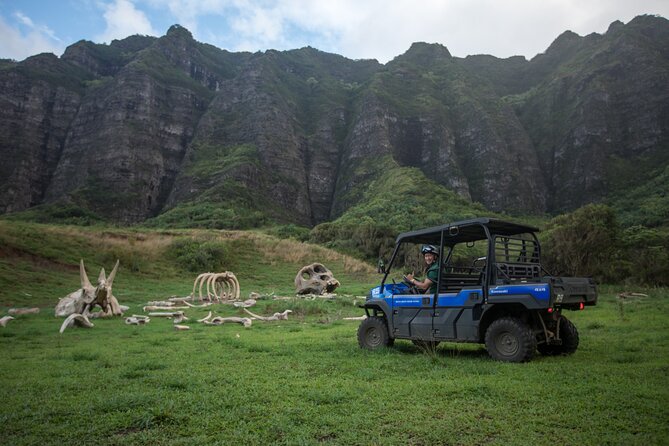 Oahu: Kualoa Ranch UTV Raptor Tour - Driving vs riding: who should choose what