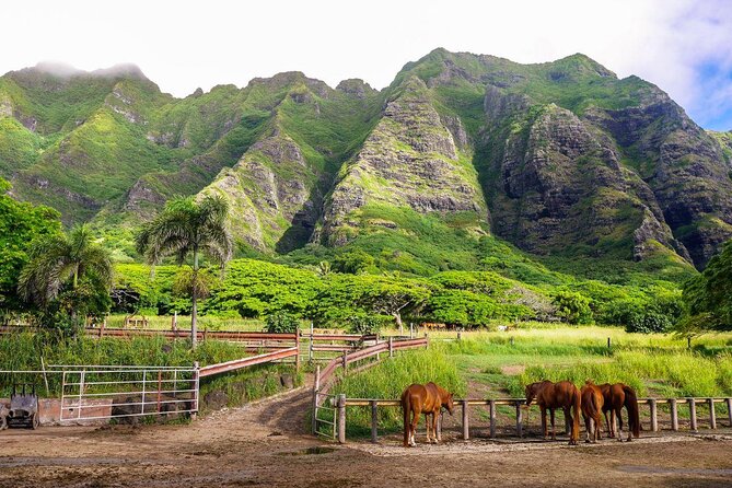 Oahu: Kualoa Ranch UTV Raptor Tour - Safety briefing, helmets, and how the Raptor tour runs