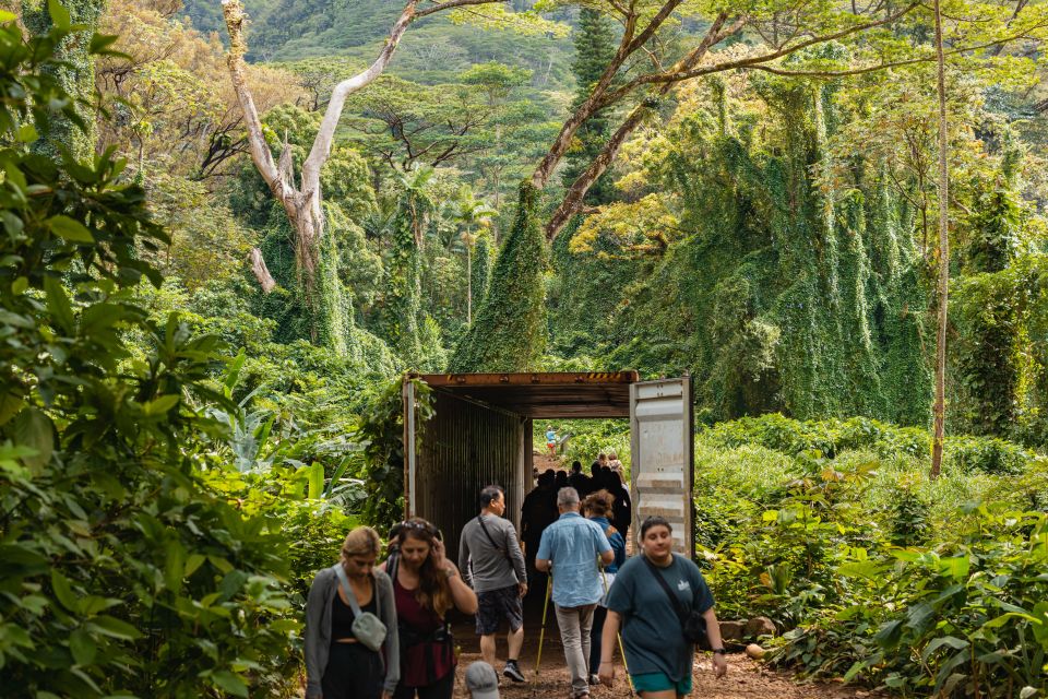 Oahu: Manoa Falls Waterfall Hike with Lunch and Transfers - Key takeaways before you go