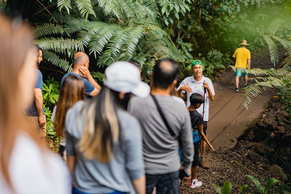 Oahu: Manoa Falls Waterfall Hike with Lunch and Transfers - Who should book this Manoa Falls experience