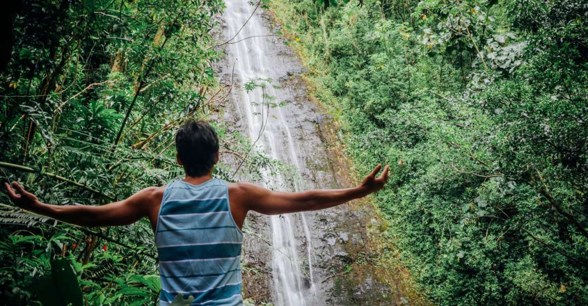 Oahu: Manoa Falls Waterfall Hike with Lunch and Transfers - From Waikiki to Manoa Falls in one smooth morning flow