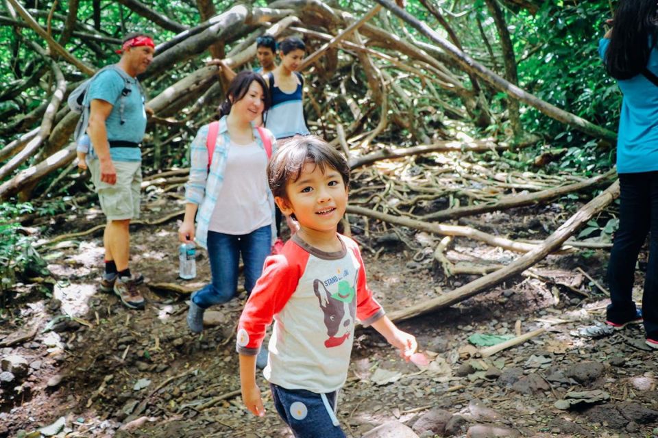 Oahu: Manoa Falls Waterfall Hike with Lunch and Transfers - The Manoa Falls reveal: a 150-foot waterfall payoff
