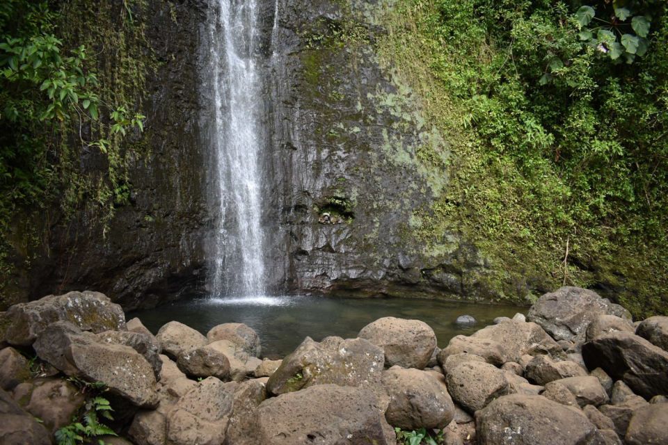 Oahu: Manoa Falls Waterfall Hike with Lunch and Transfers - Tantalus Lookout lunch: Diamond Head + Honolulu skyline