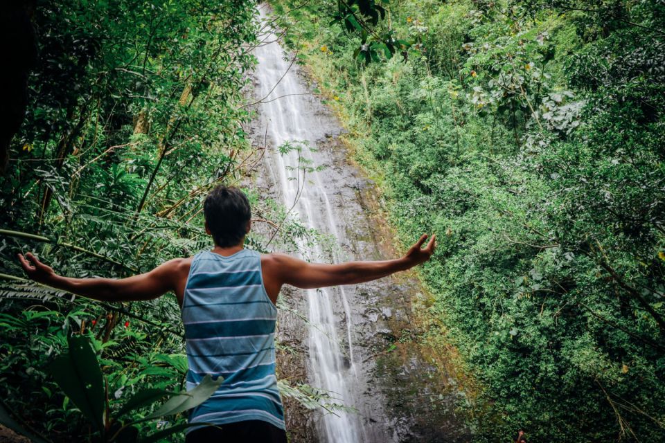 Oahu: Manoa Falls Waterfall Hike with Lunch and Transfers - Price and value: what $119 really buys you
