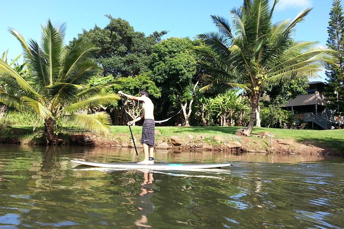 Oahu North Shore Experience: Activities, Waterfall & Free Time - Key things you’ll notice on this North Shore Surf Bus day