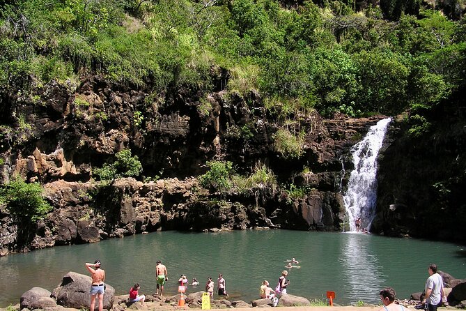 Oahu North Shore Experience: Activities, Waterfall & Free Time - Tropical Farms: the short coffee-and-taste stop that actually helps
