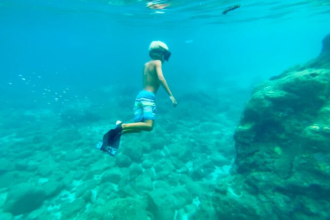 Oahu North Shore Experience: Activities, Waterfall & Free Time - Waimea Falls Park and botanical plants: waterfall swim plus plant wonder