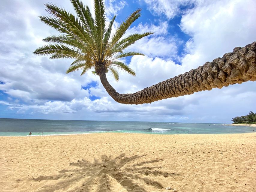 Oahu: North Shore Experience and Dole Plantation - North Shore in One Day: Why This Route Works From Waikiki