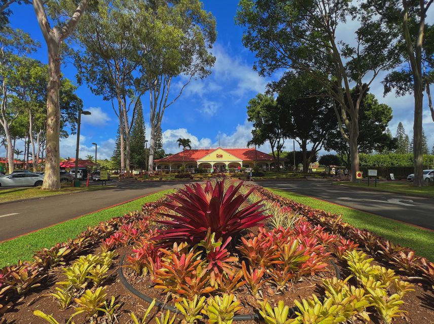 Oahu: North Shore Experience and Dole Plantation - Halona Blowhole and Cove: Ocean Thunder on the East Side