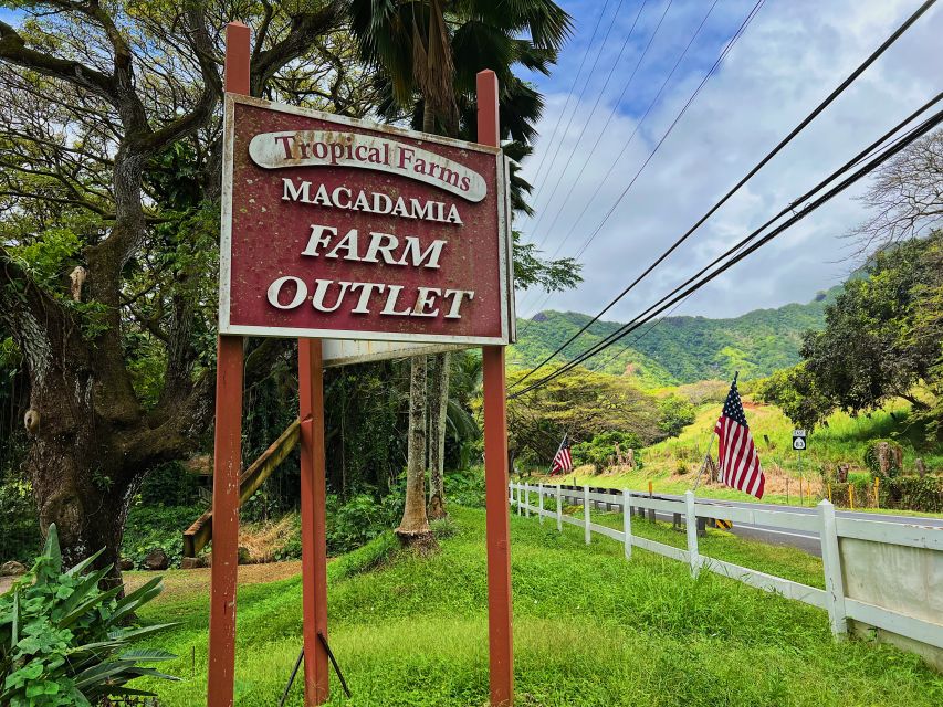 Oahu: North Shore Experience and Dole Plantation - Sunset Beach and the Winter Surf Twist