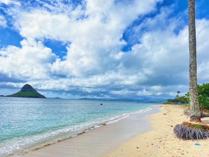Oahu: North Shore Experience and Dole Plantation - Haleiwa Alii Beach: Easygoing North Shore Vibes