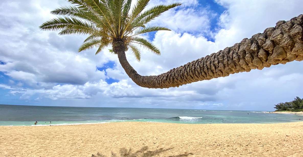 Oahu: North Shore Experience and Dole Plantation - Small-Group Comfort in an Air-Conditioned Van (Max 10)