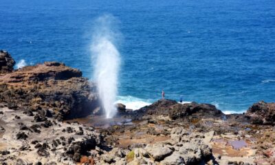 Oahu: Oahu Ultimate Grand Circle Island Tour - Meeting near the Hyatt: how to avoid the start-time headache