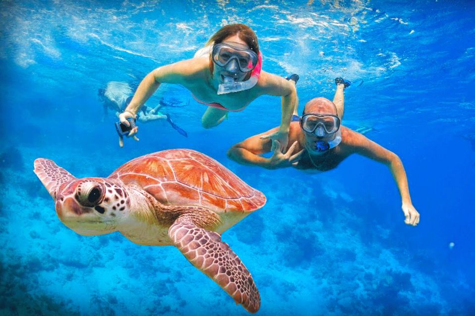Oahu: Oahu Ultimate Grand Circle Island Tour - Kahala to Waimānalo: scenic coastal cruising and quick shopping breaks