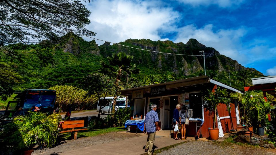 Oahu: Oahu Ultimate Grand Circle Island Tour - Who should book this and who should skip it