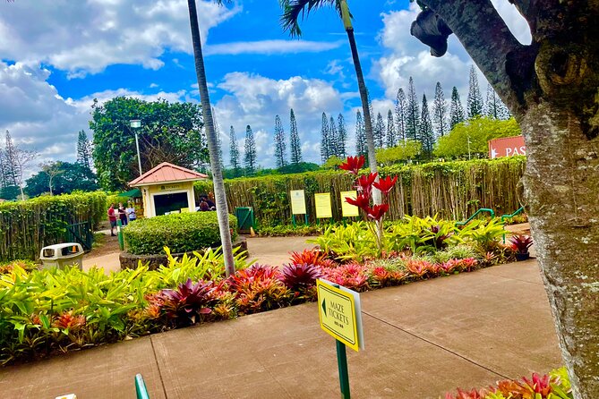 Oahu: Roundtrip Shuttle From Waikiki to Dole Plantation & Haleiwa - Waikiki to the North Shore, the easy way