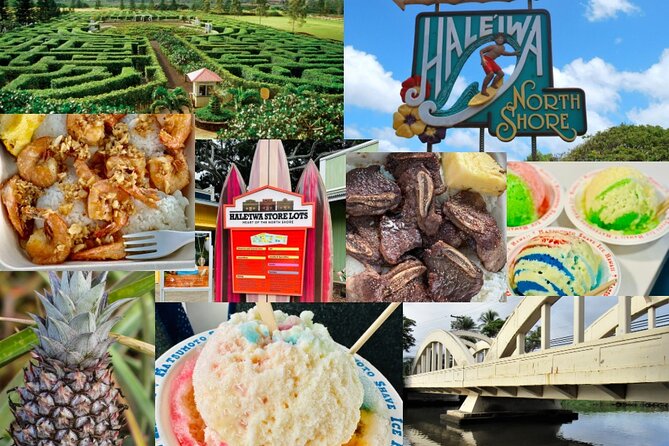 Oahu: Roundtrip Shuttle From Waikiki to Dole Plantation & Haleiwa - Value check: is $30.25 a good deal?