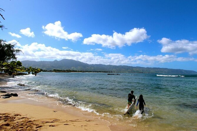 Oahu: Roundtrip Shuttle From Waikiki to Dole Plantation & Haleiwa - Dole Plantation: timing is the secret ingredient