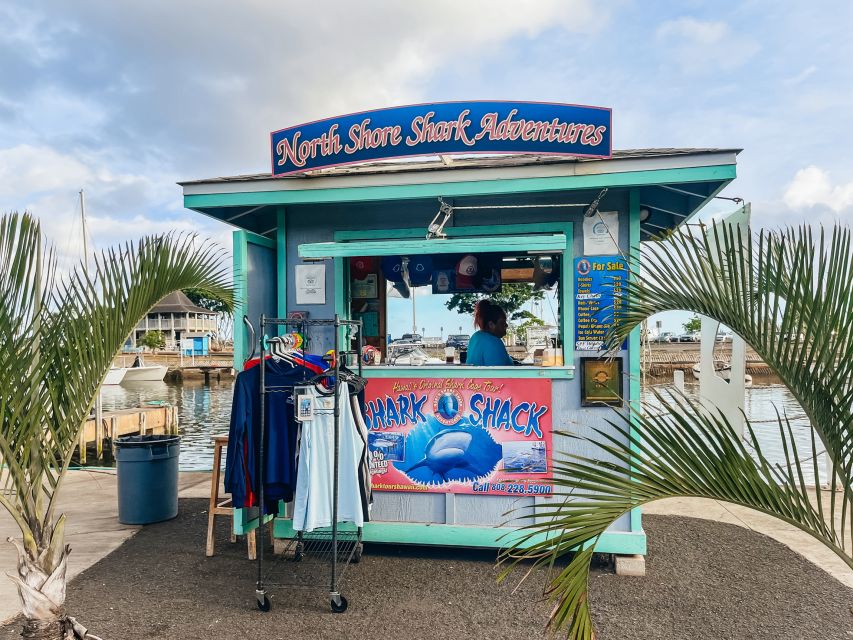 Oahu: Shark Cage Dive on the North Shore - North Shore setup: where the tour starts and how long it really takes