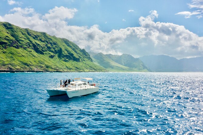 Oahu: Swim with Dolphins on the West Coast - Dolphins are wild: what you can and can’t control