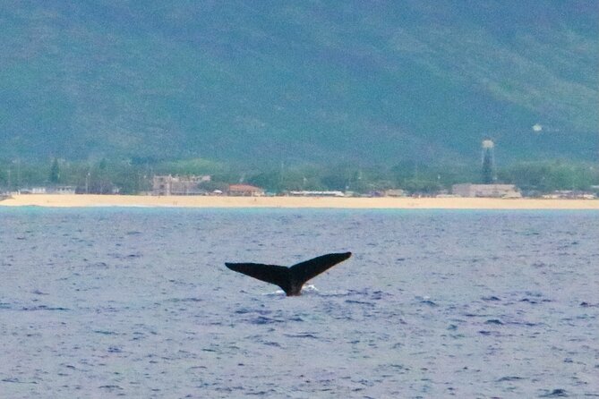 Oahu: Swim with Dolphins on the West Coast - Waianae Mountain Range stop: the scenic break before the water work