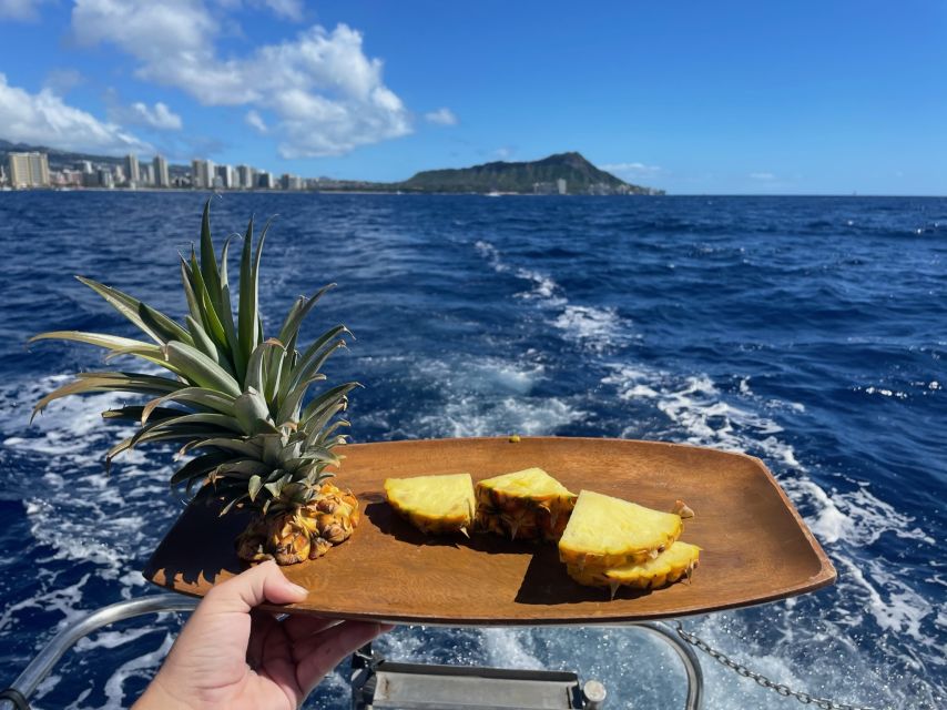 Oahu: Turtle Canyon Snorkeling Boat Tour - Price and value: is $85 for 2 hours fair?