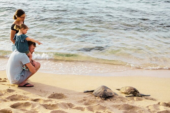 Oahu Ultimate Circle Island: 30 Spots, 10 Epic Stops - Halona Blowhole and the lava-tube vibe