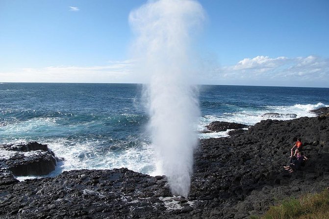 Oahu Ultimate Circle Island Tour Full Day Experience - Tropical Farms, Macadamia samples, and Jurassic Valley stops