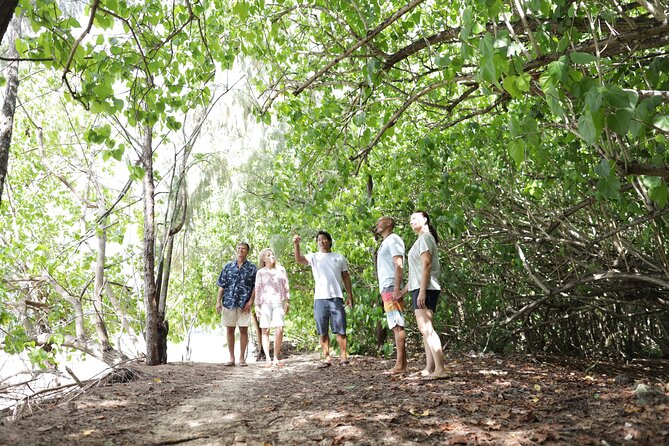 Oahu Uncovered: Full Island Tour with a Local Guide - Small-Group Comfort: Pickup, Timing, and the Drive Between Stops