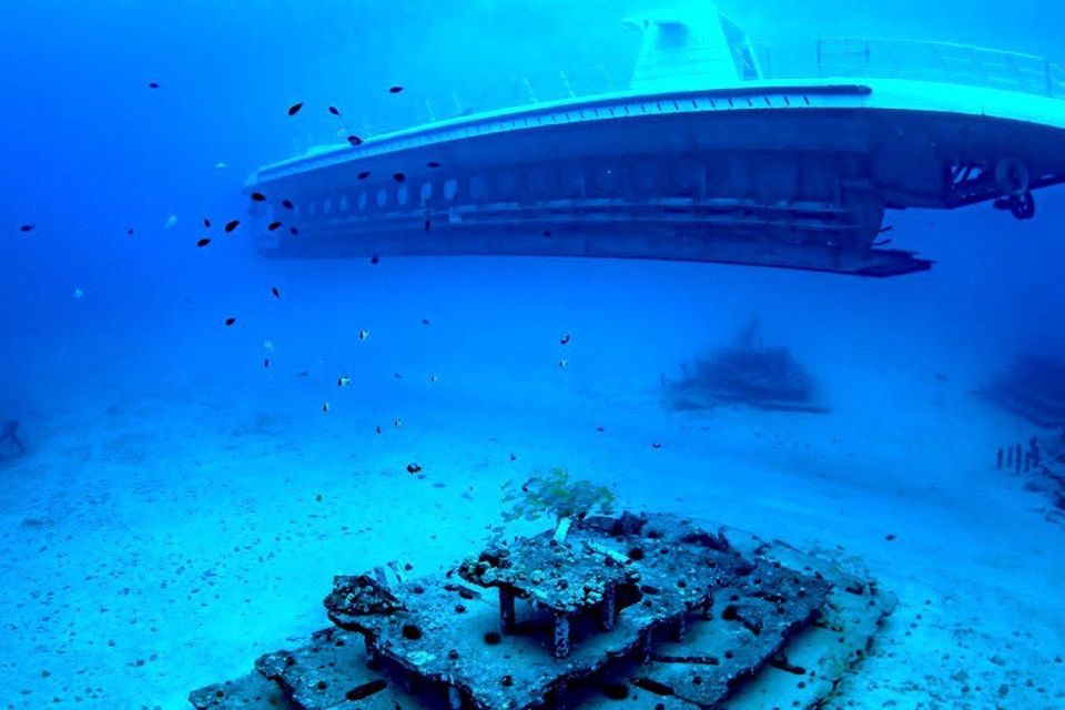 Oahu: Waikiki Submarine Tour - At 100 feet below Waikiki: what you’re actually looking for