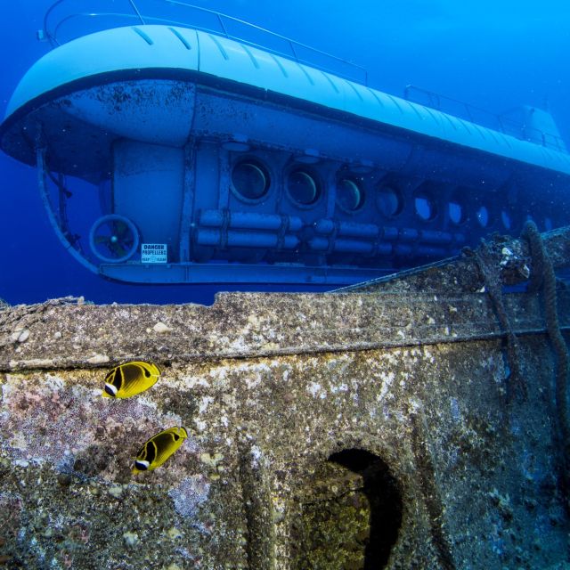 Oahu: Waikiki Submarine Tour - Should you book the Oahu Waikiki Submarine Tour?