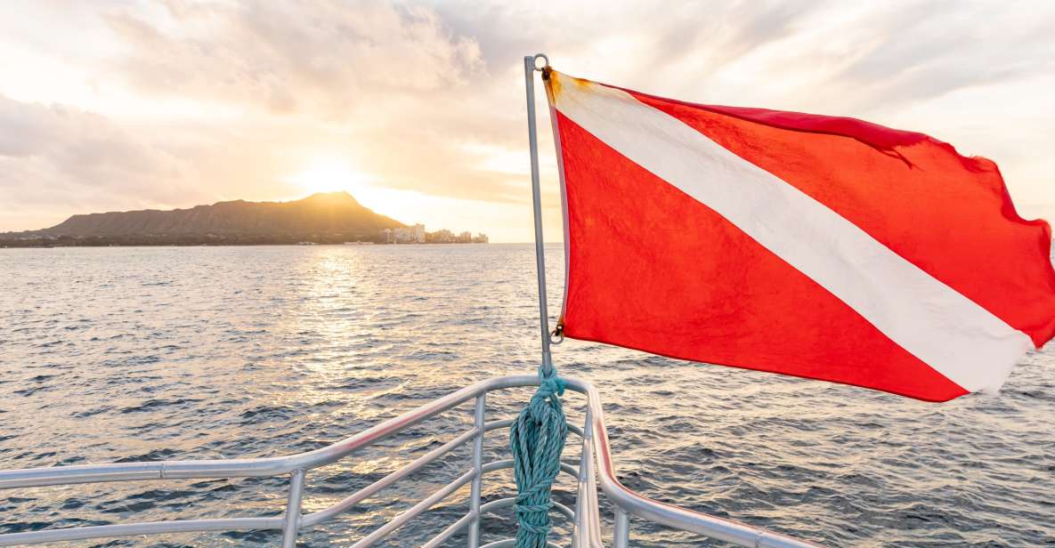Oahu: Waikiki Turtle Canyons Cruise and Snorkel Excursion - The Waikiki Coast Cruise: What You Might See From the Boat