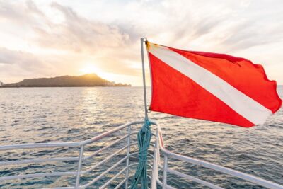 Oahu: Waikiki Turtle Canyons Cruise and Snorkel Excursion - Where to Meet at Kewalo Basin (and Why Early Matters)