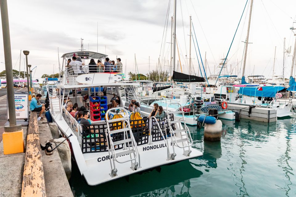 Oahu: Waikiki Turtle Canyons Cruise and Snorkel Excursion - Price and Value: Is $89 Reasonable for Waikiki Turtle Canyons?