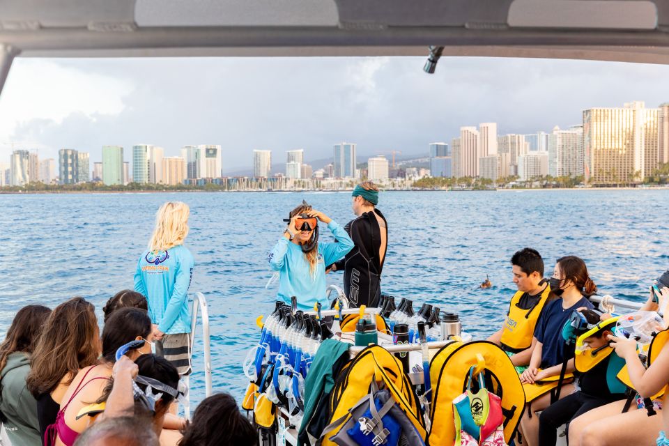 Oahu: Waikiki Turtle Canyons Cruise and Snorkel Excursion - Who Should Book, and Who Should Skip This Trip