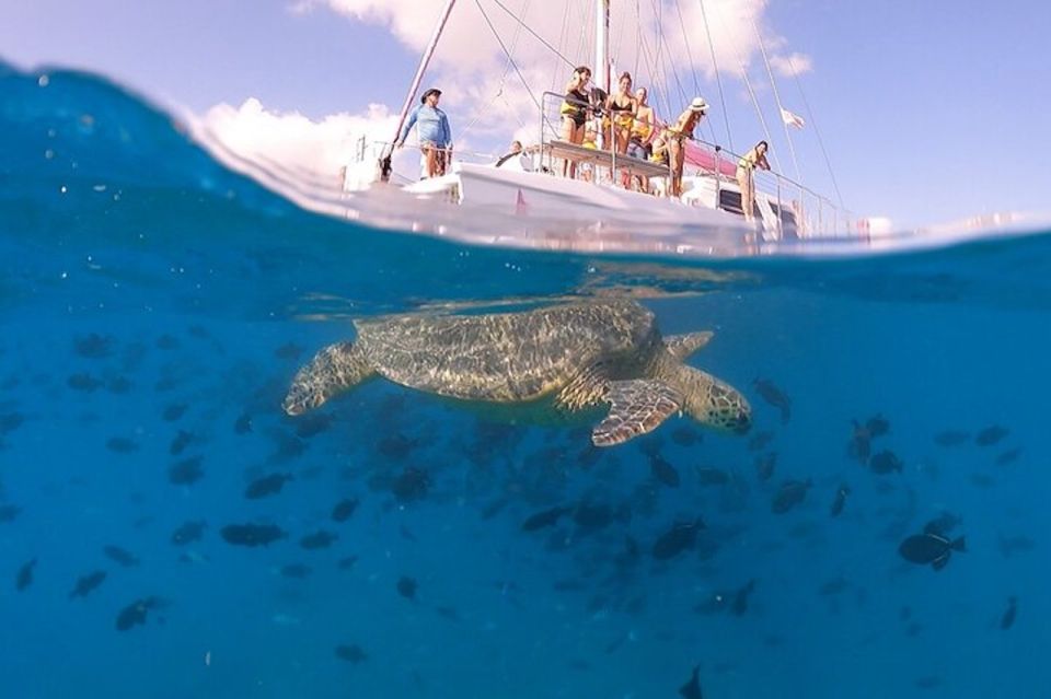 Oahu: Waikiki Turtle Snorkeling Adventure Cruise - Why a Pink-Sailed Catamaran Makes This Feel Like a Real Waikiki Adventure
