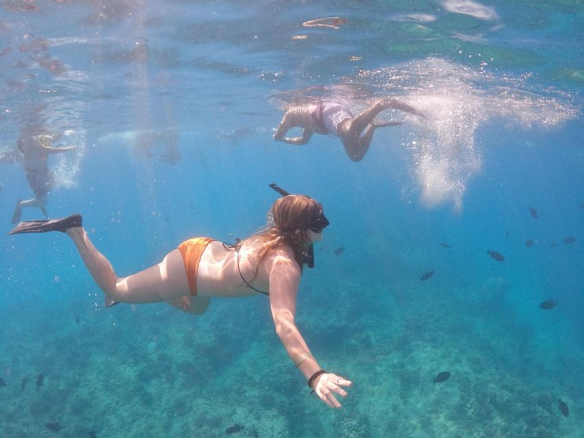 Oahu: Waikiki Turtle Snorkeling Adventure Cruise - Onboard: Gear, safety coaching, and a crew that keeps things light