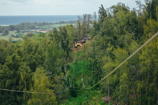 Oahu's North Shore: 8-Line Zipline Adventure - Should you book the Climb Works Keana Farms North Shore zipline?