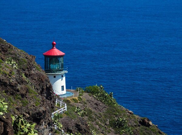 Oahu's Stunning Views: Half-Day Scenic Tour with 7 Lookouts - Key highlights at a glance