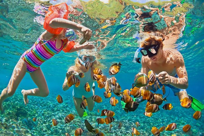 Oahu's Ultimate Tour: Dole, Turtle Snorkel, Pali Lookout & More - A Fast Circle of Oahu: what this 10–12 hour day really delivers