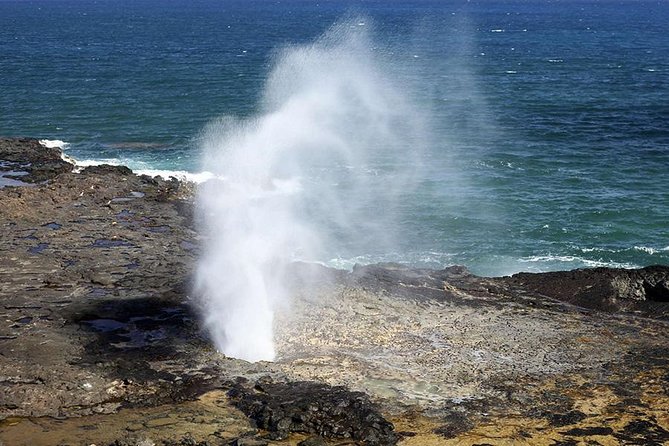 Oahu's Ultimate Tour: Dole, Turtle Snorkel, Pali Lookout & More - Kahala drive-by and Hanauma Bay pass: impressive, but don’t plan on parking