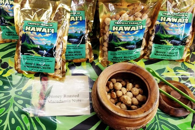 Oahu's Ultimate Tour: Dole, Turtle Snorkel, Pali Lookout & More - Byodo-In Temple and the “pass by only” reality