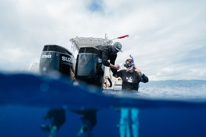 Open Water Shark Dive - Underwater photos and how to get better memories